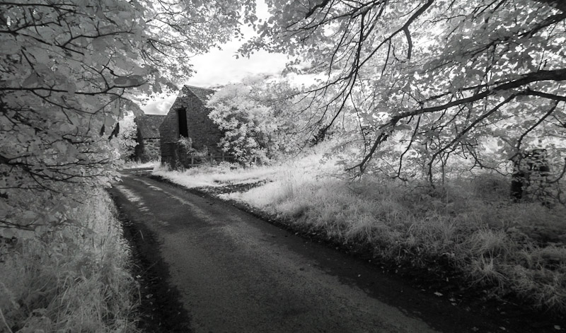 Road in Infrared