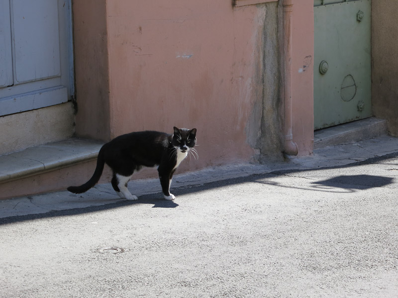 Cagnes sur Mer