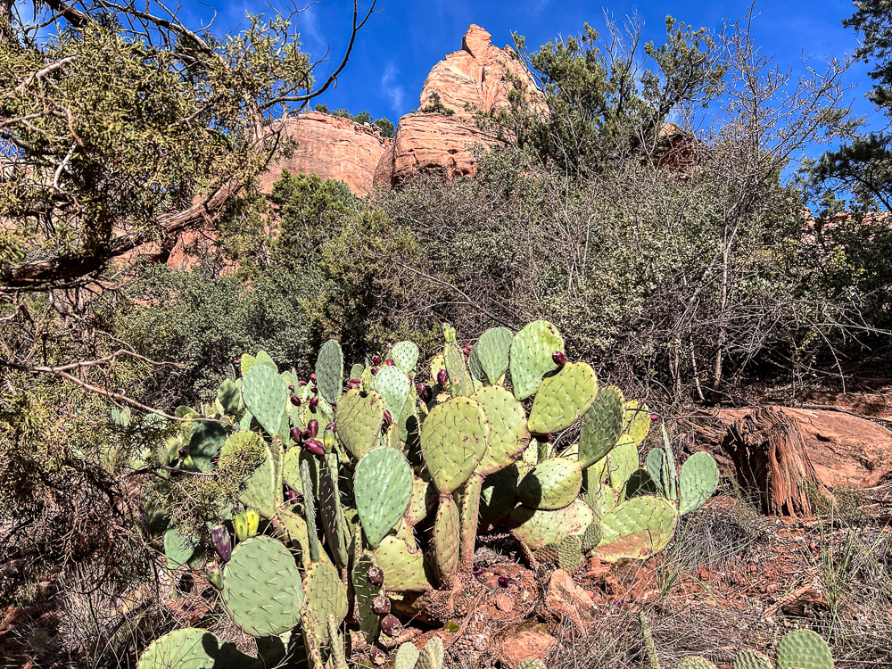 Zion National Park