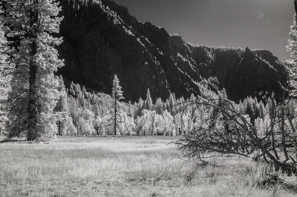 Yosemite National Park