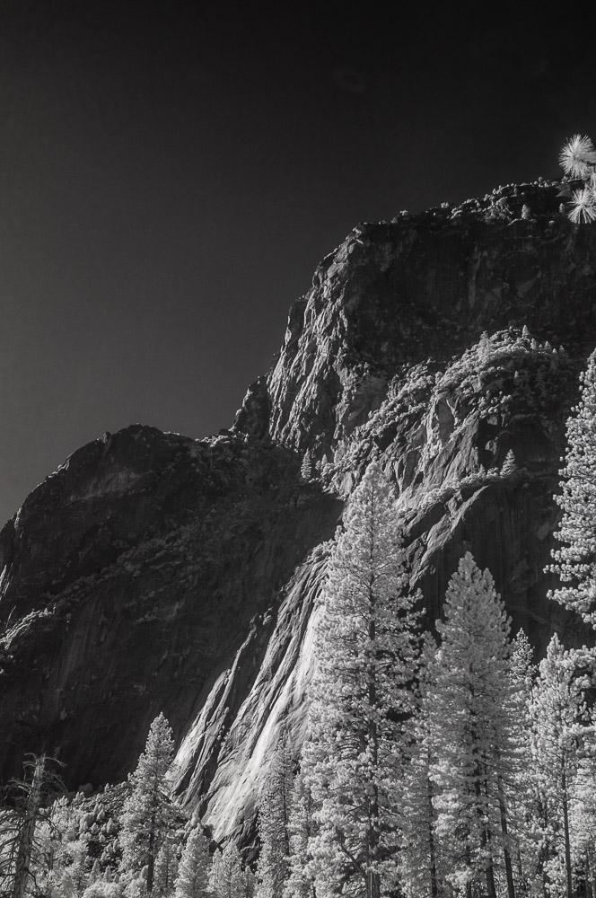 Yosemite National Park