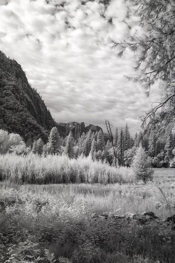 Yosemite National Park