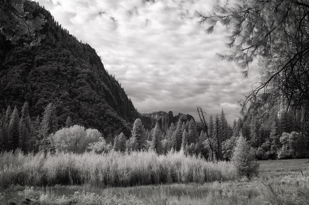Yosemite National Park