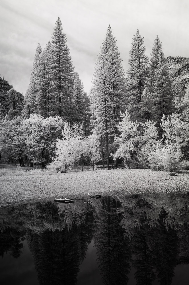 Yosemite National Park