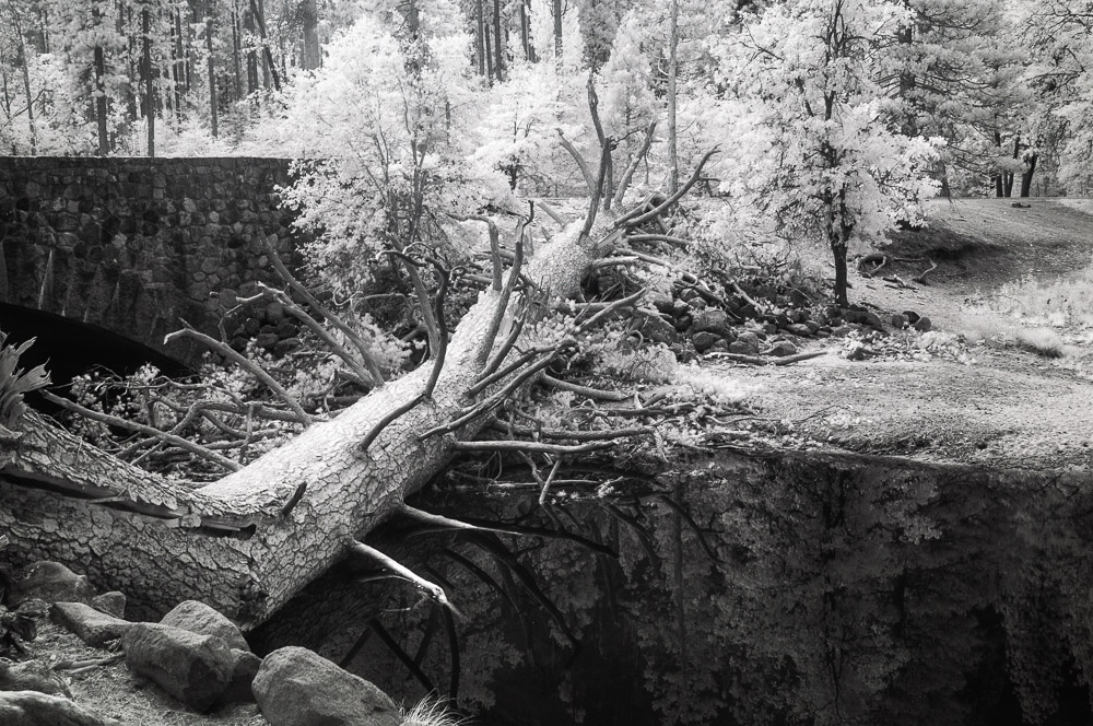 Yosemite National Park