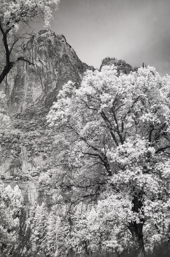 Yosemite National Park