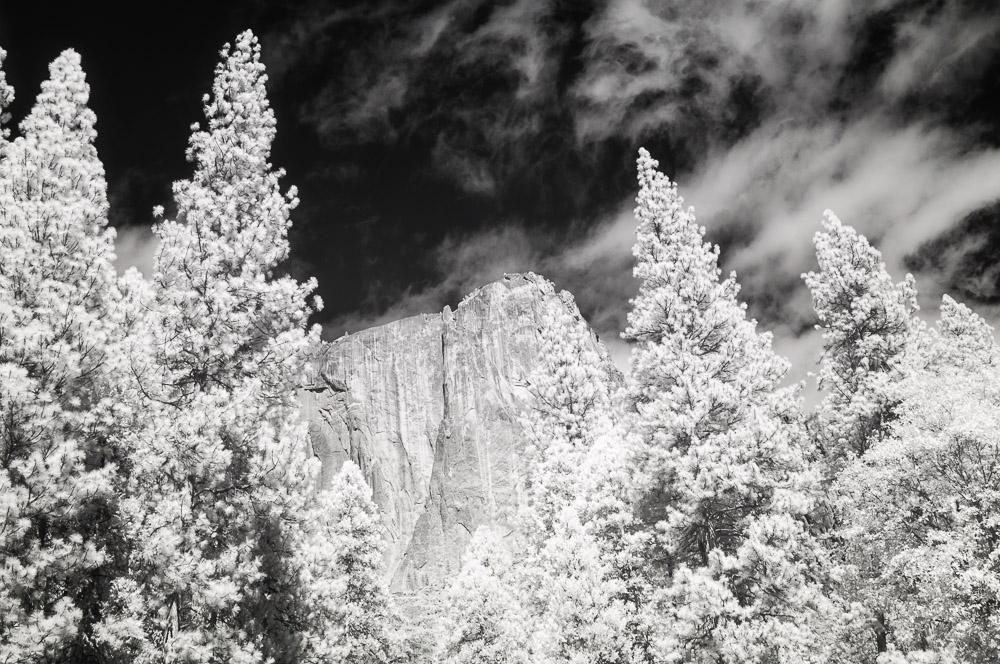 Yosemite National Park