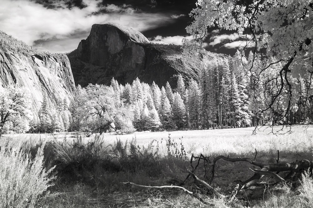 Yosemite National Park