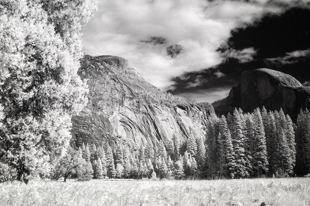 Yosemite National Park