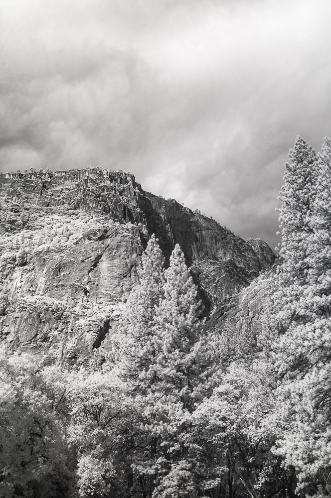 Yosemite National Park