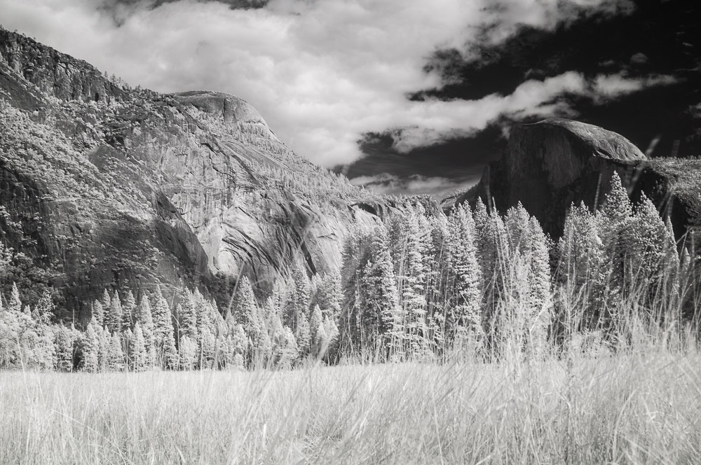 Yosemite National Park