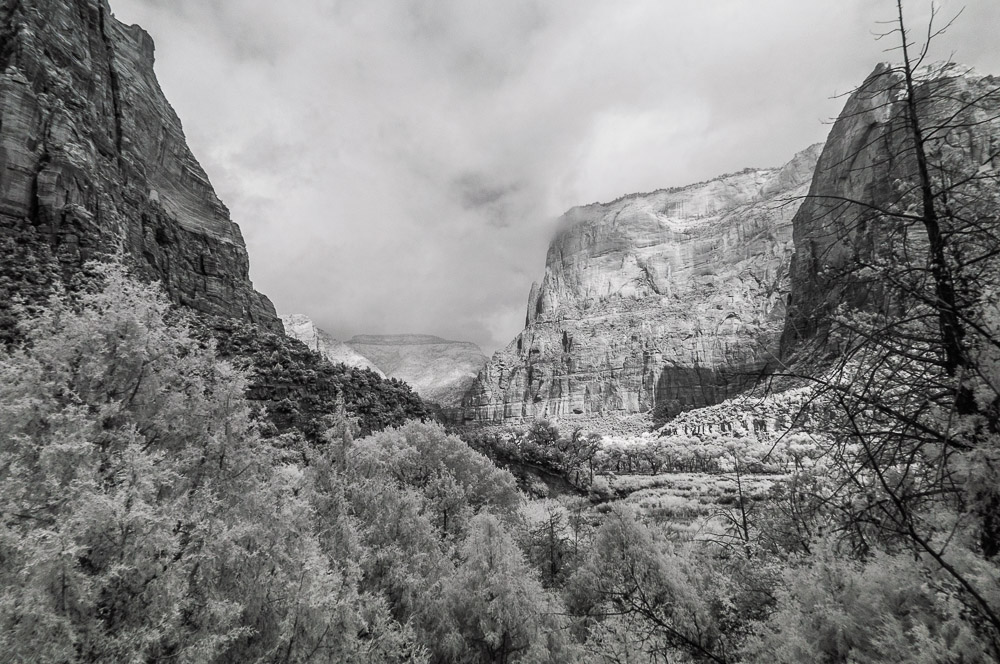 Zion National Park