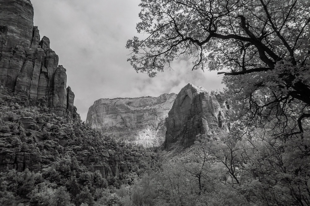 Zion National Park