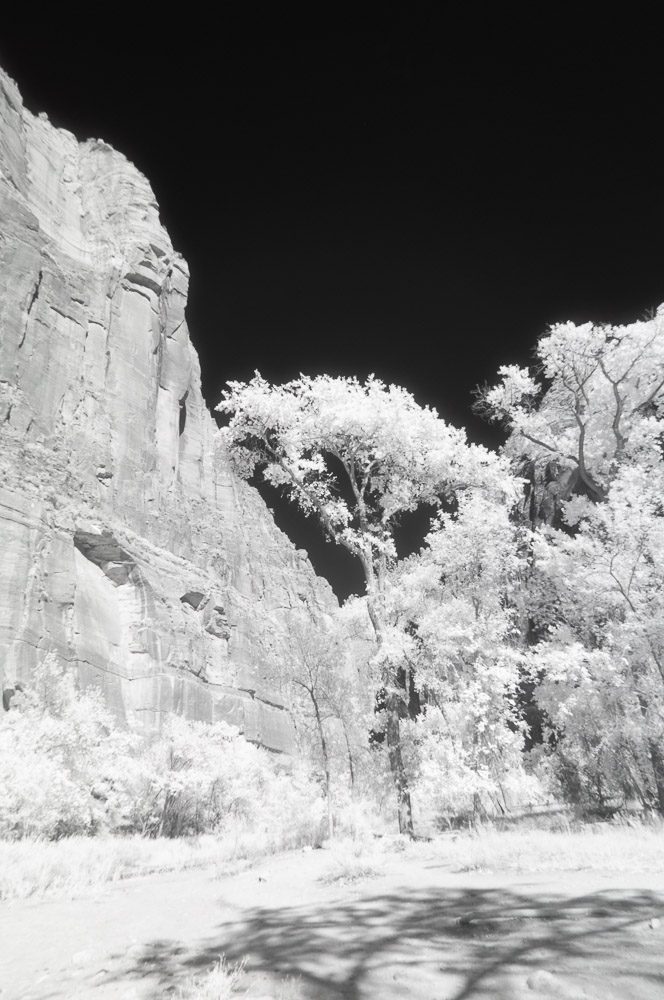 Zion National Park