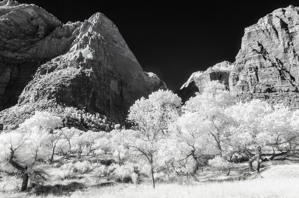 Zion National Park