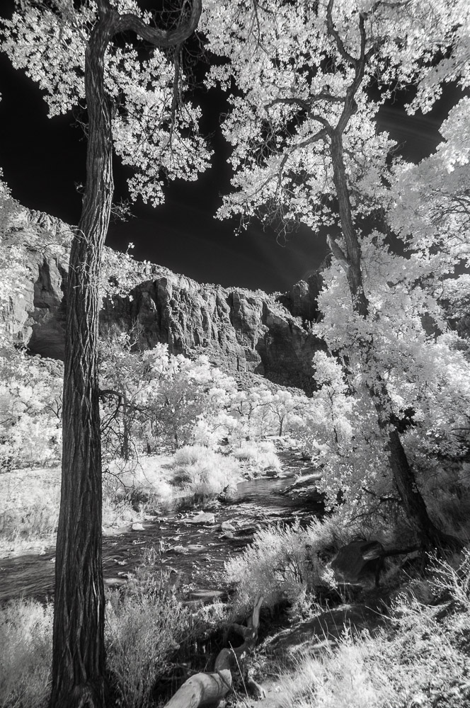 Zion National Park
