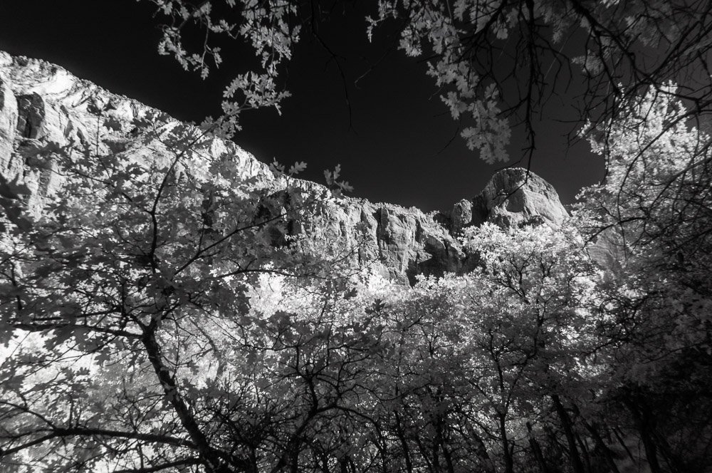 Zion National Park
