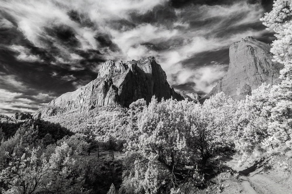 Zion National Park