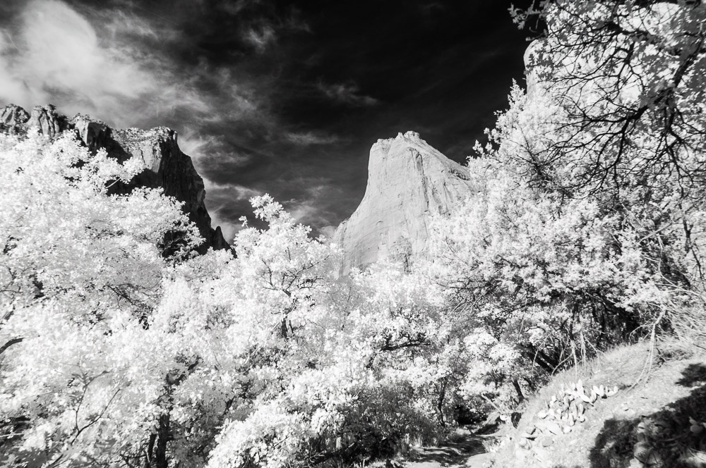 Zion National Park