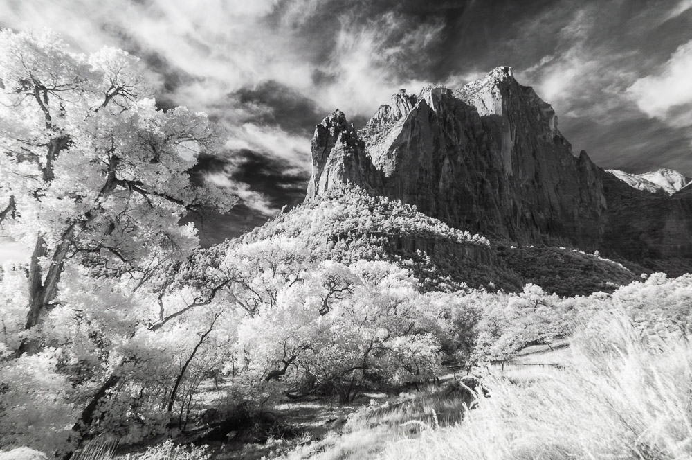 Zion National Park