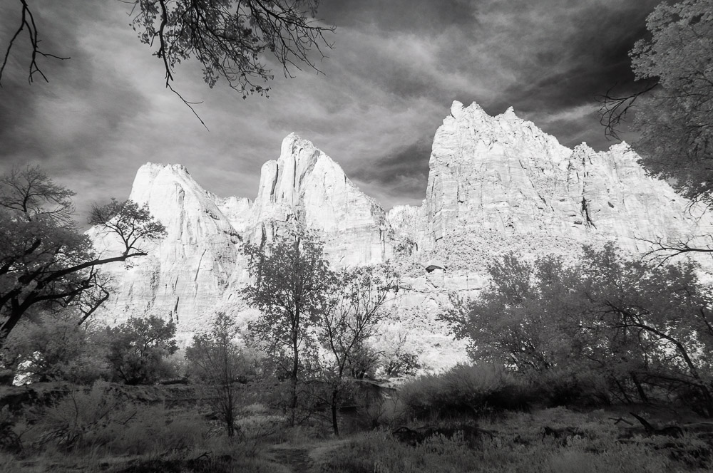 Zion National Park
