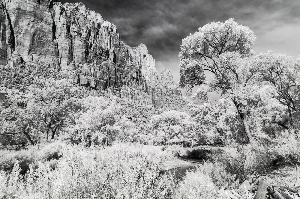 Zion National Park