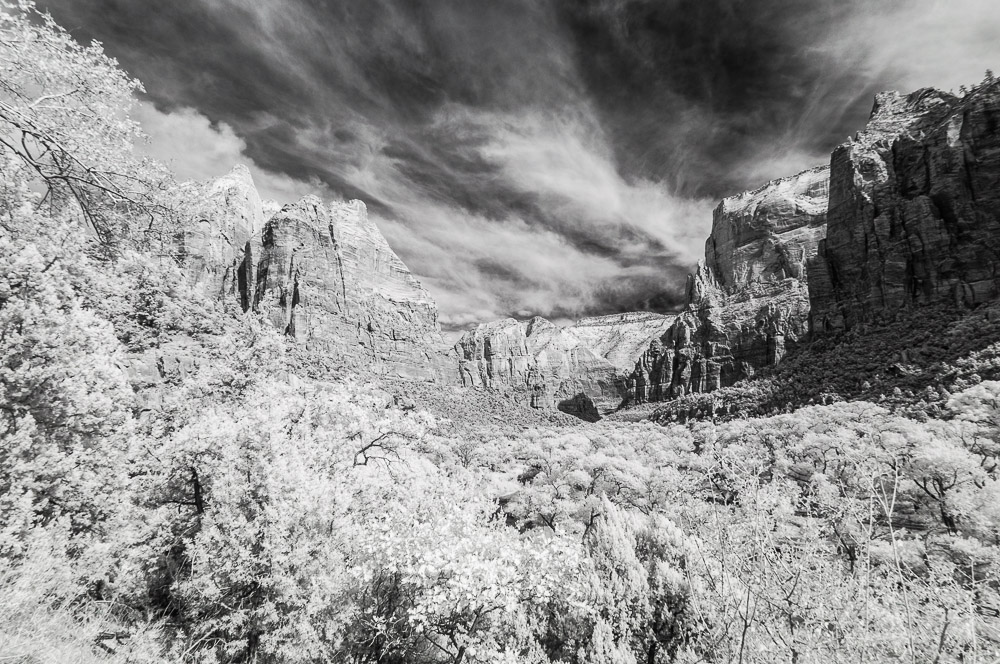 Zion National Park