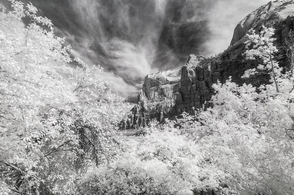 Zion National Park