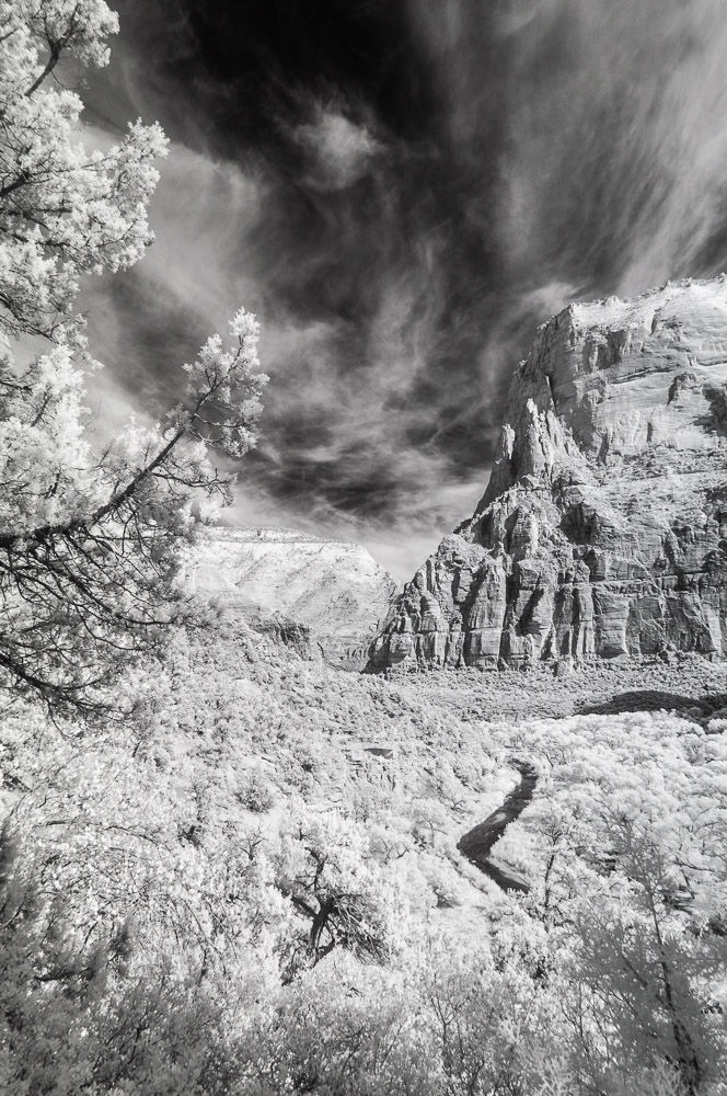 Zion National Park