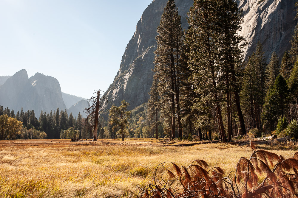 Yosemite National Park