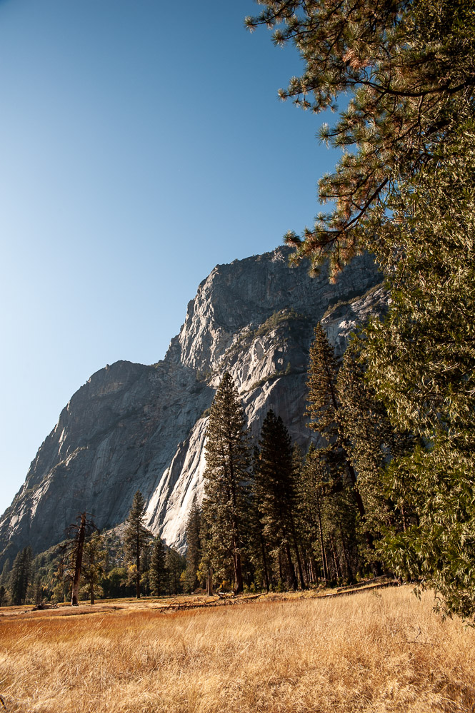 Yosemite National Park