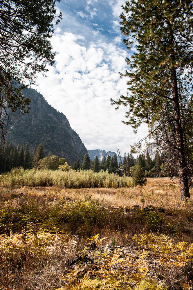 Yosemite National Park