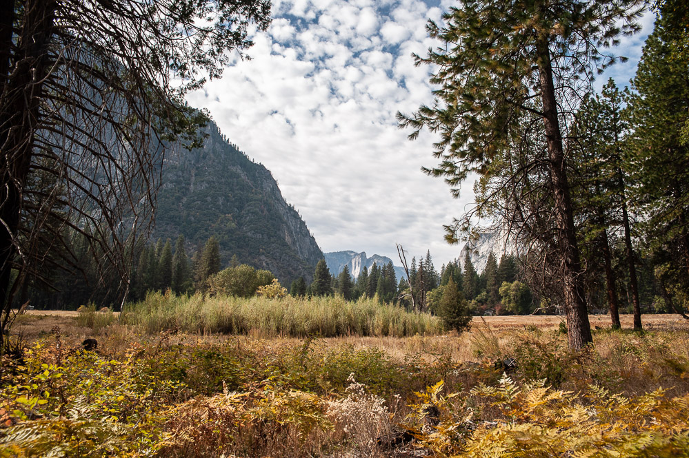 Yosemite National Park