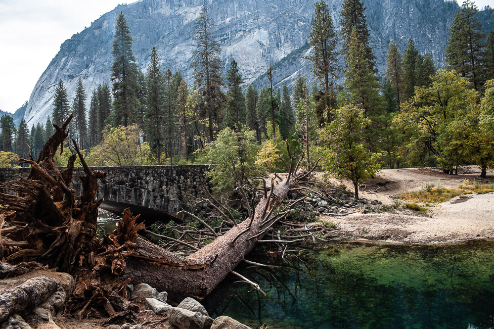 Yosemite National Park
