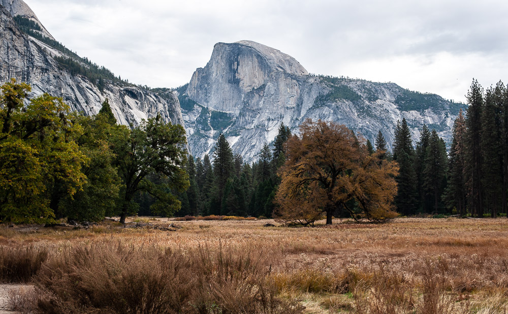 Yosemite National Park