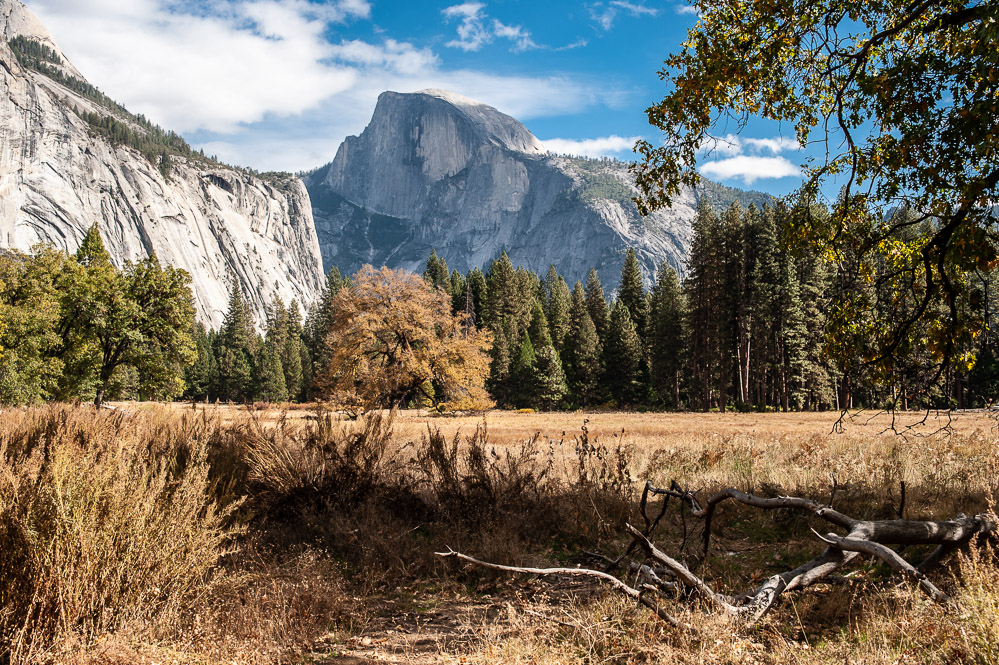 Yosemite National Park