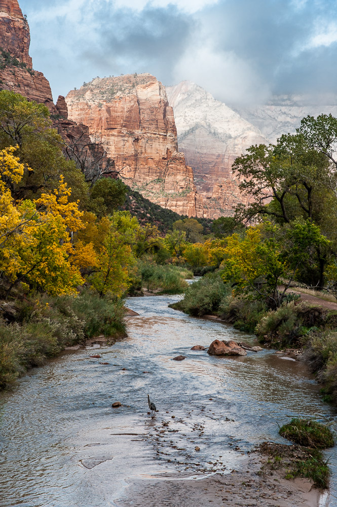 Zion National Park