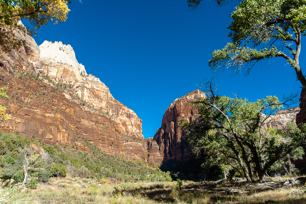 Zion National Park