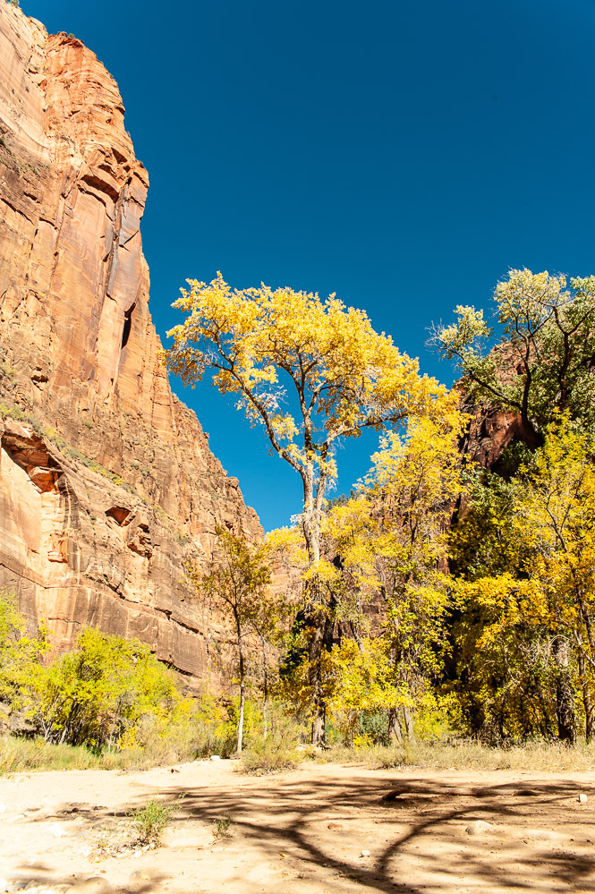 Zion National Park
