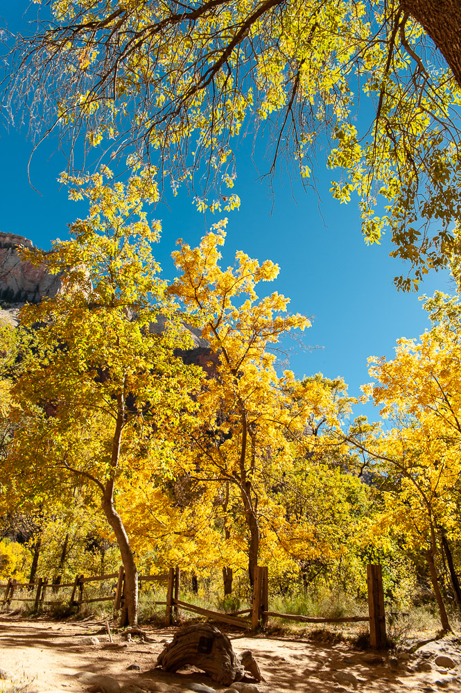 Zion National Park