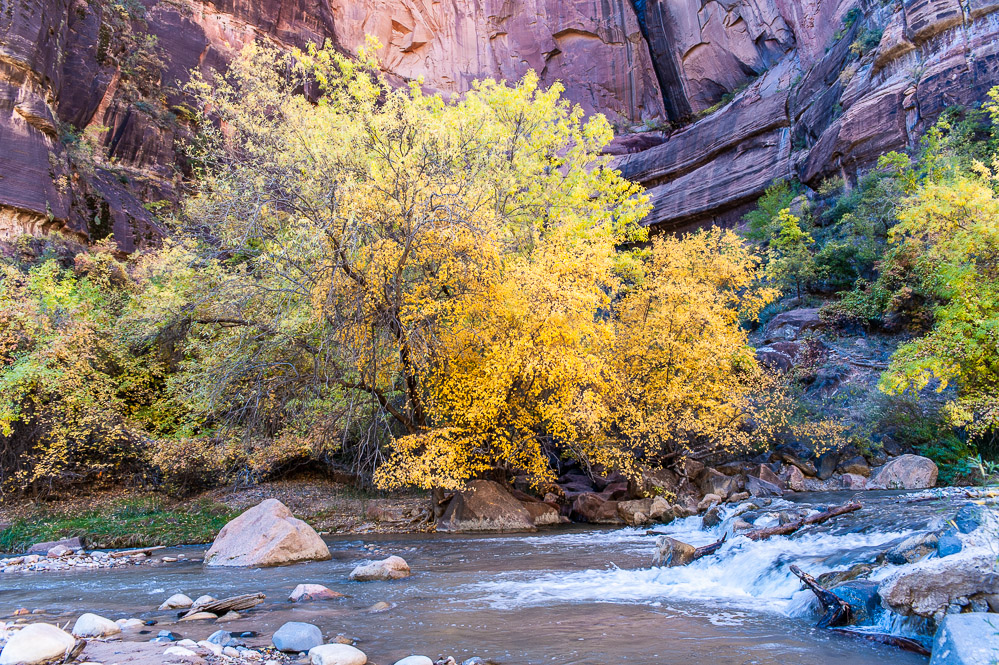 Zion National Park