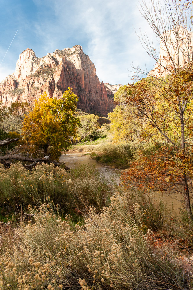 Zion National Park