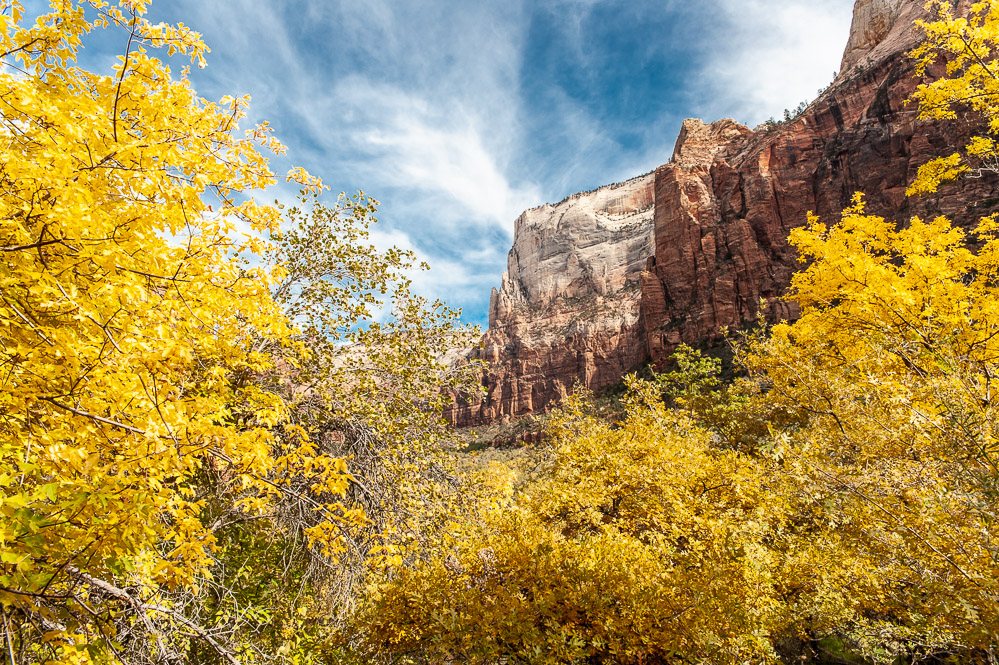 Zion National Park