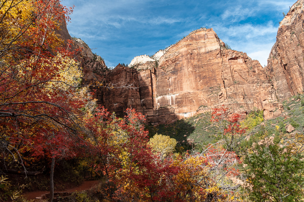 Zion National Park