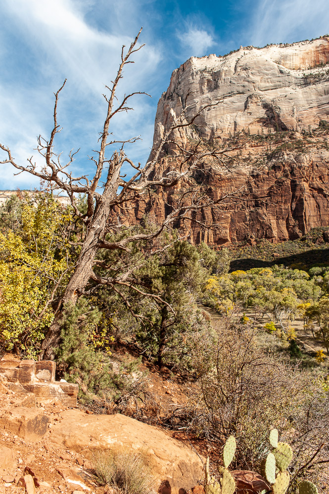 Zion National Park