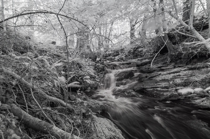 Stream in infrared